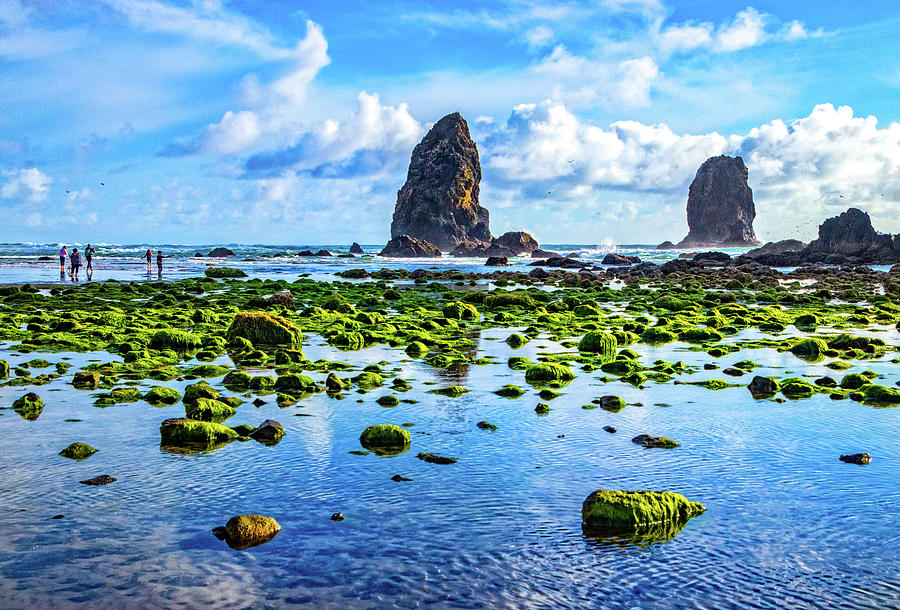 Cannon Beach Needles at Low Tide Photograph by Carolyn Derstine