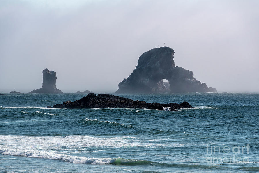 Cannon Beach OR Photograph by Louise Magno