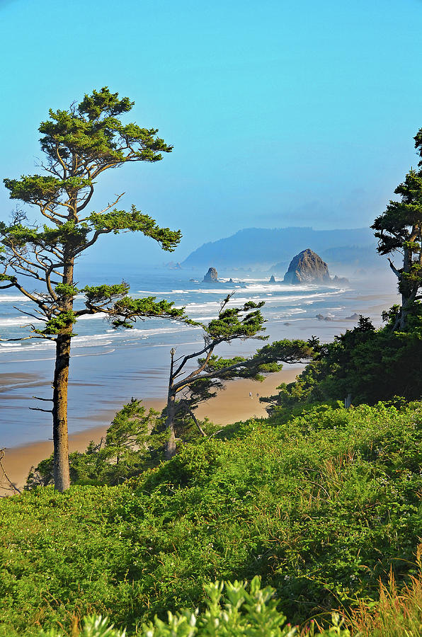 Cannon Beach S Haystack Rock Photograph By Curt Remington Pixels