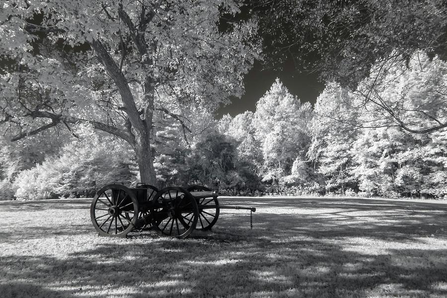 Cannon in Petersburg National Battlefield Photograph by Liza Eckardt