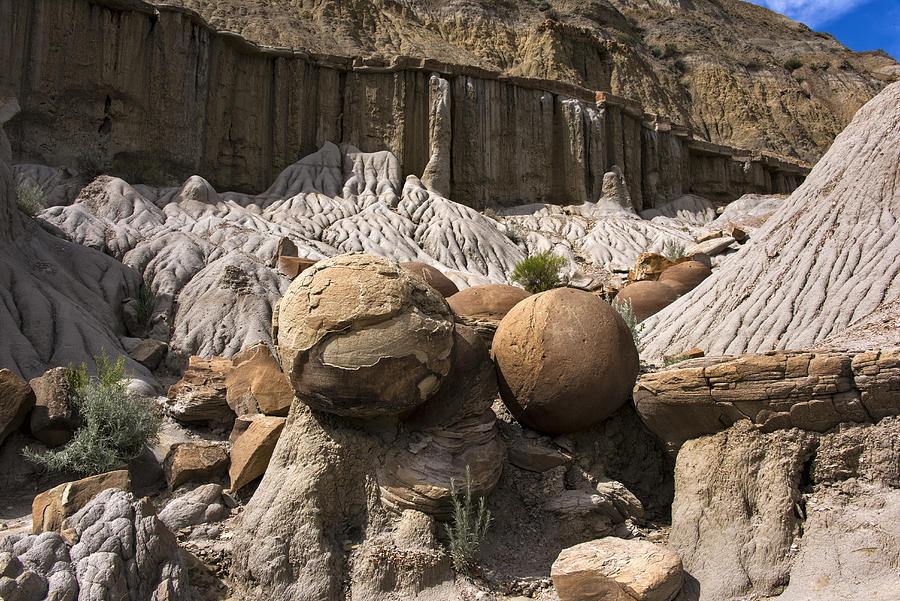 Cannonball Concretions Photograph by Mark Newman