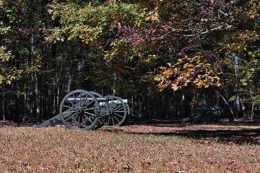 Cannons Under the Canopy Photograph by American Landscapes
