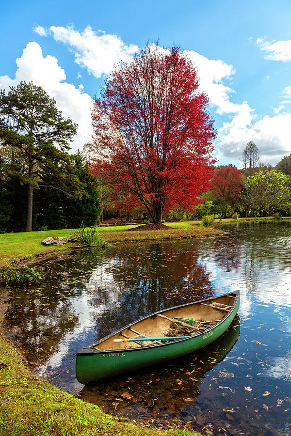 Canoe at the Red Maple Tree Photograph by Debra and Dave Vanderlaan