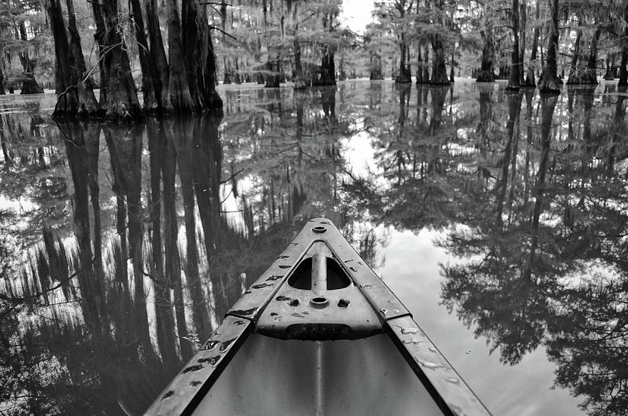 Canoe Bow on Caddo Lake Bald Cypress Tree Canopy Reflection Texas Black and White Photograph by Shawn OBrien