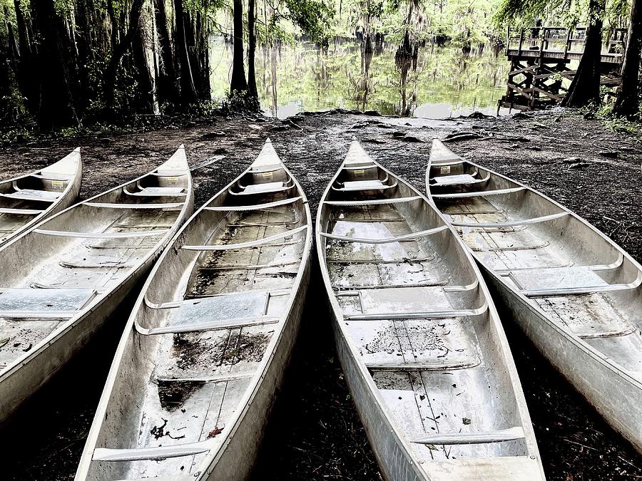 Canoe Fleet Photograph by Tanya White