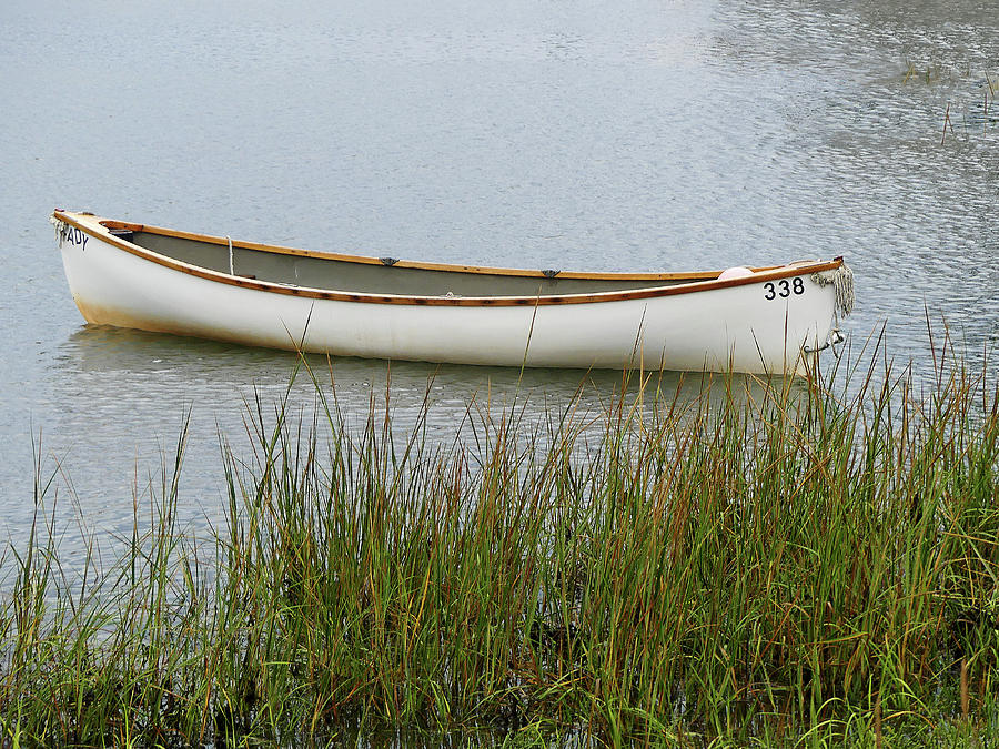 Canoe in the Reeds Photograph by Sharon Williams Eng