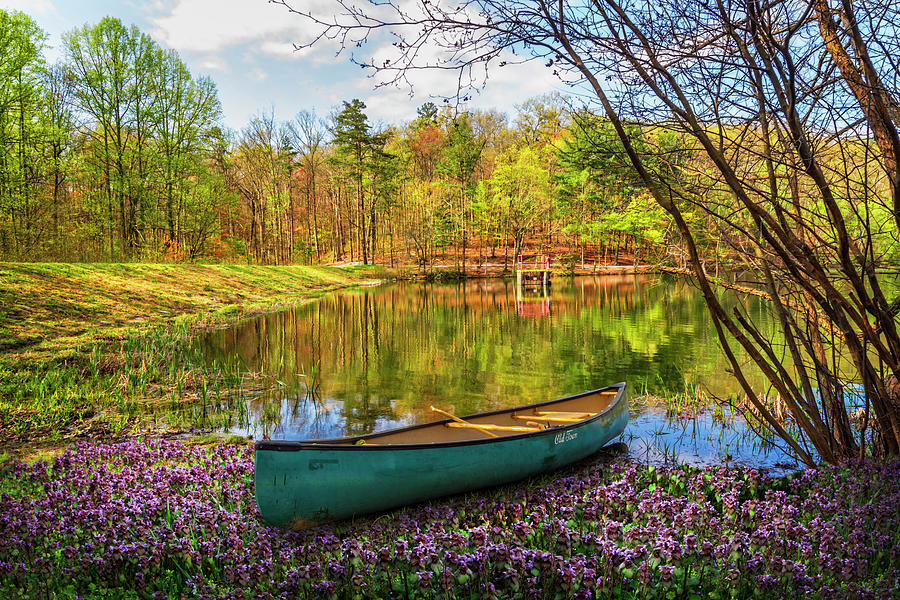 Canoe in the Spring Wildflowers at the Lake Photograph by Debra and Dave Vanderlaan