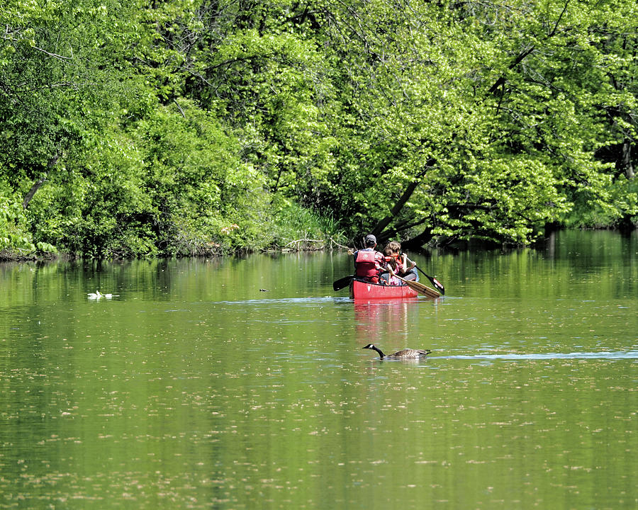 Canoe Trip Photograph by Scott Olsen