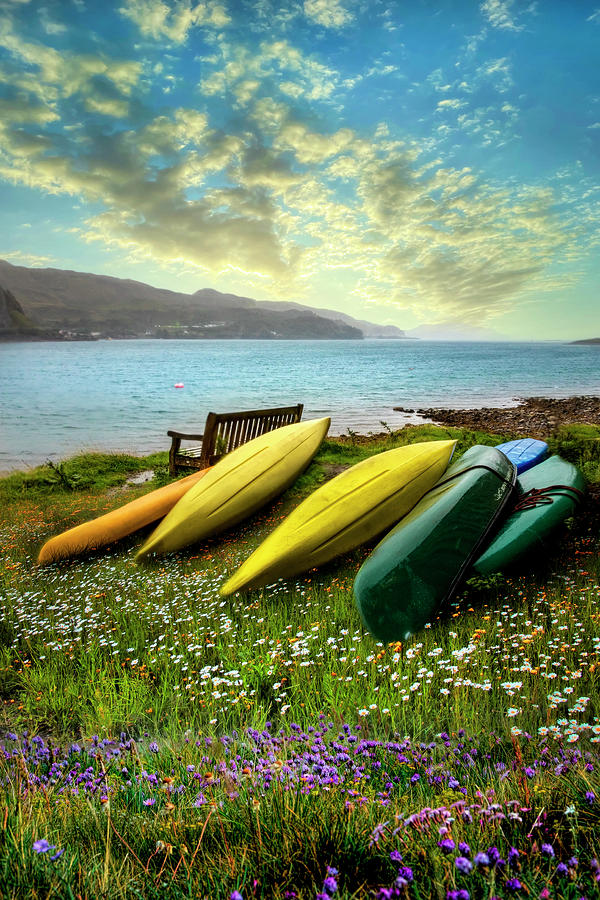 Canoes in Summer Flowers Photograph by Debra and Dave Vanderlaan