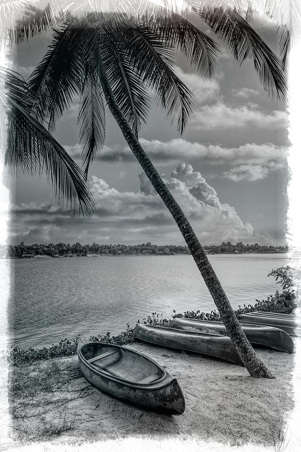 Canoes Waiting on the Beach in Black and White Photograph by Debra and Dave Vanderlaan