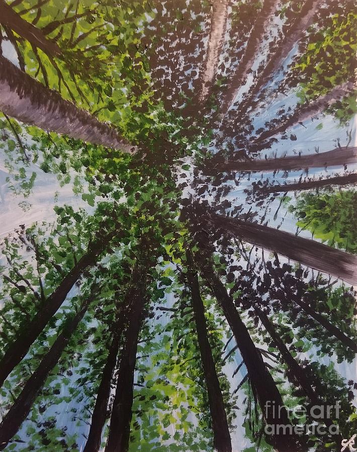 Canopy Painting by Charlie Kelly Fine Art America