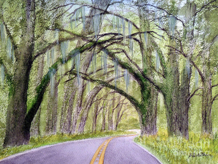 Canopy Of Live Oak Trees Miccosukee Road Tallahassee FL Painting by Bill Holkham