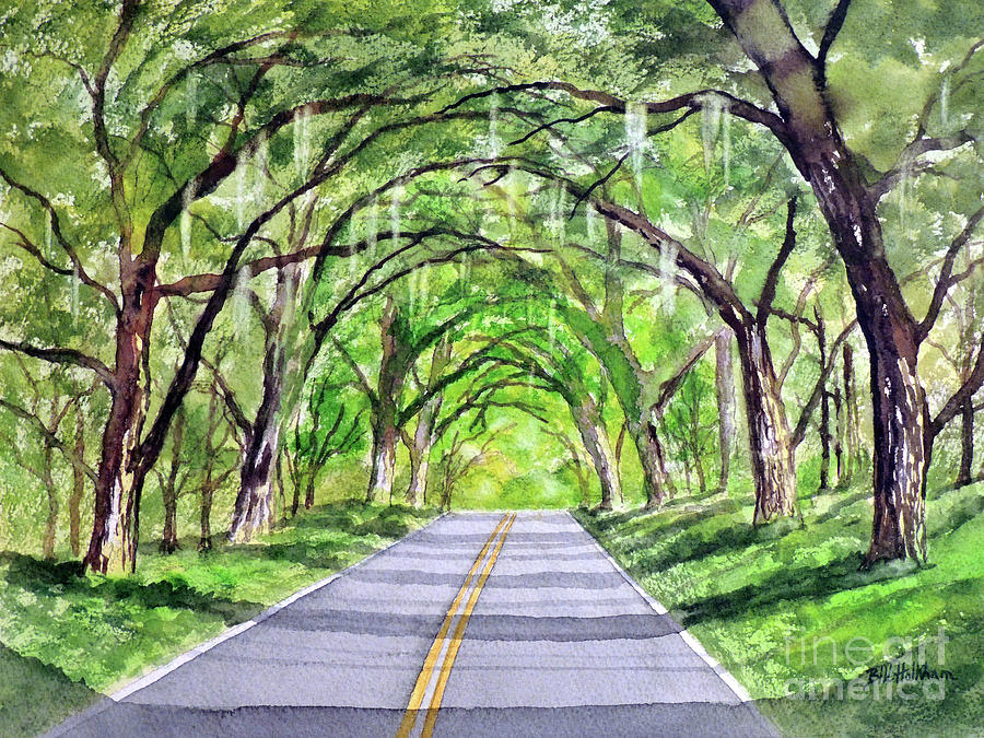 Canopy Of Live Oak Trees - Old St Augustine Road Tallahassee Florida Painting by Bill Holkham