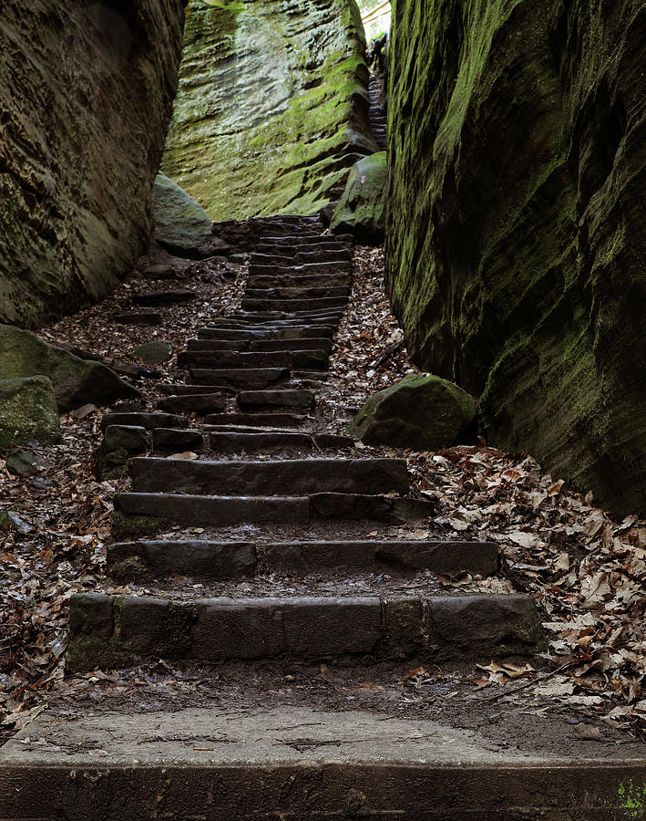 Cantwell Cliffs Trail Steps Ohio Photograph by Dan Sproul