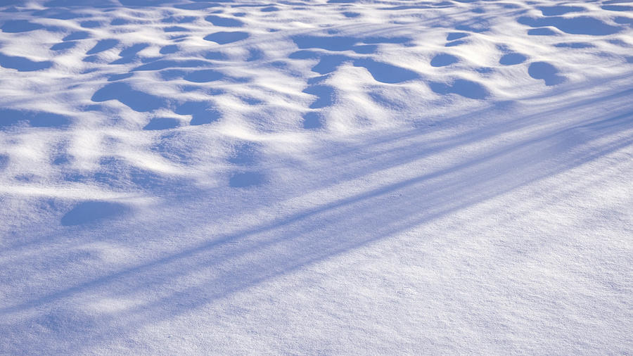 Canvas of Snow Photograph by Monte Stevens