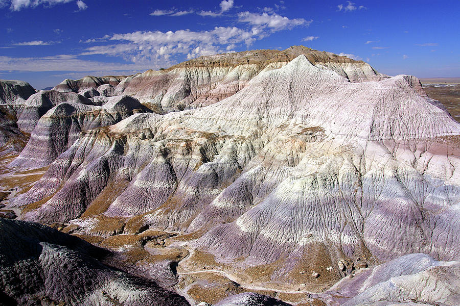 Petrified Forest National Park Photograph - Canyon At Blue Mesa by Douglas Taylor