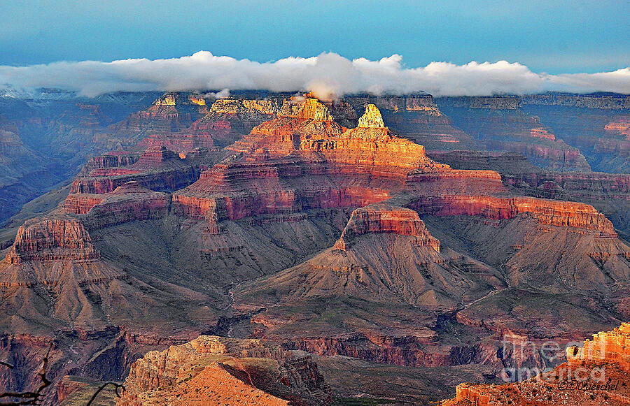 Canyon Beauty Photograph by Debby Pueschel
