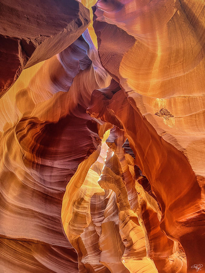 Canyon Crevices Photograph by Thomas Patrick Kennedy | Fine Art America