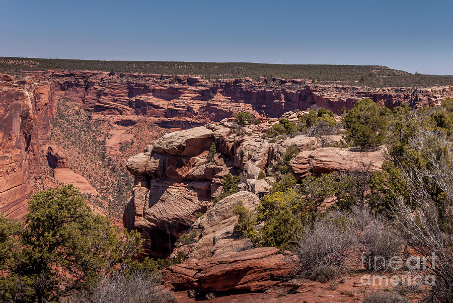 Canyon de Chelly #2 Photograph by Blake Webster