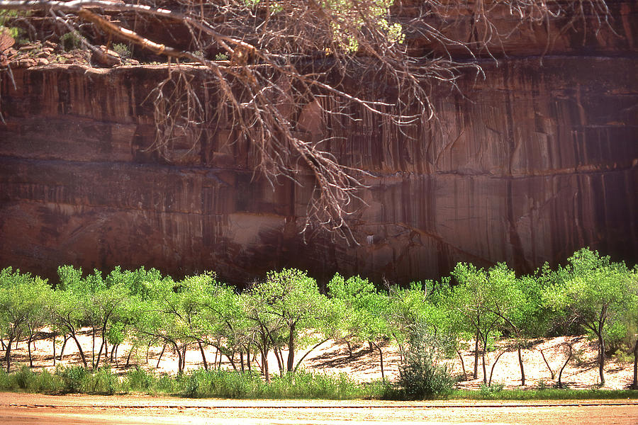 Canyon de Chelly Photograph by Jerry Griffin