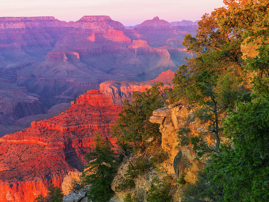 Grand Canyon National Park Photograph - Canyon Dusk by Mikes Nature