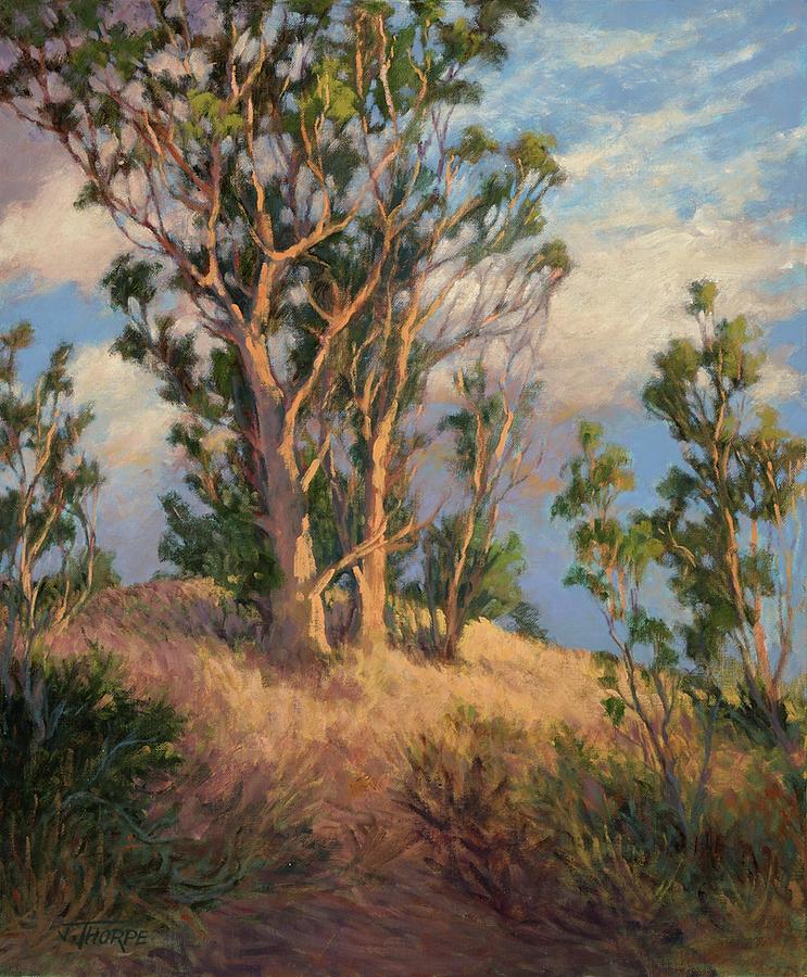 Canyon Eucalyptus Painting by Jane Thorpe