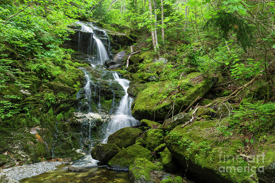 Canyon Fall - Low and Burbanks Grant, New Hampshire Photograph by Erin Paul Donovan