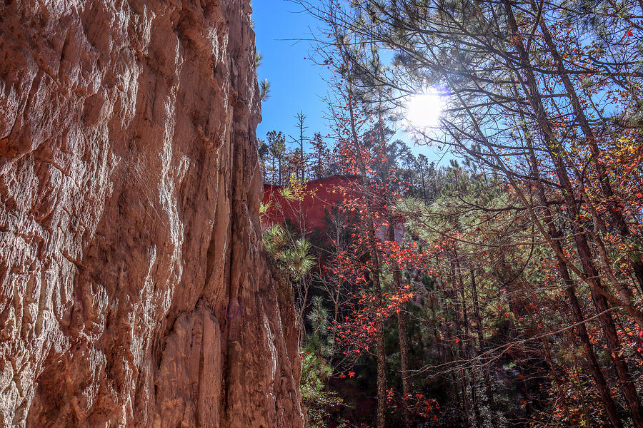 Canyon Floor Afternoon Sun Photograph by Ed Williams