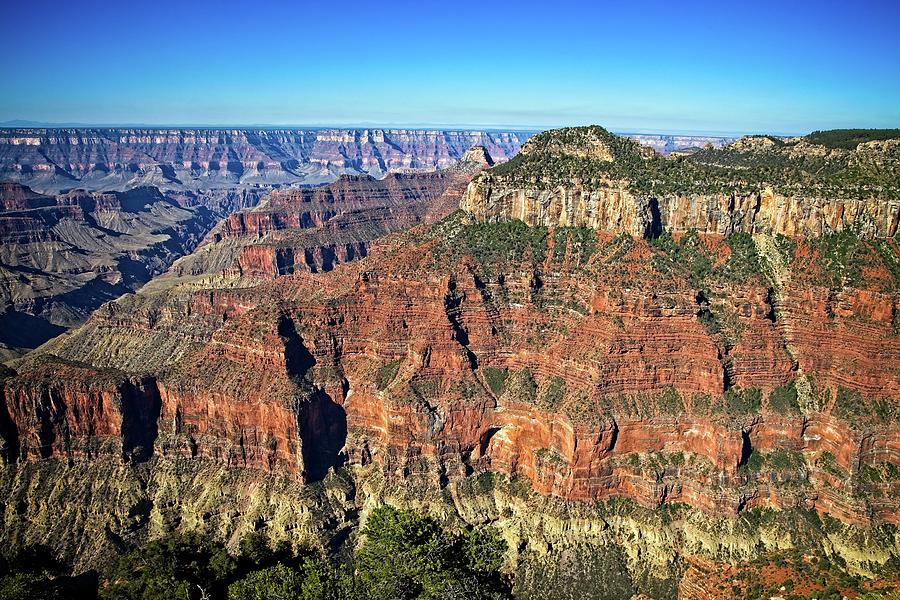 Canyon from the North Rim Photograph by Ronald Lutz