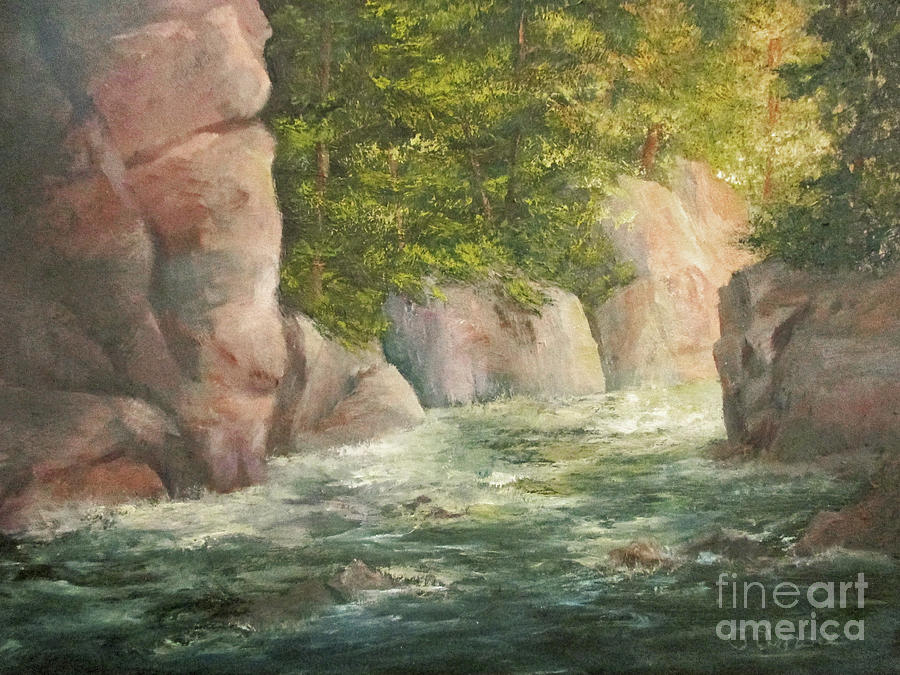 Canyon Rapids Painting by Roseann Gilmore