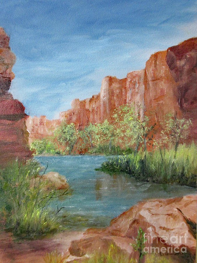 Canyon River Painting by Roseann Gilmore