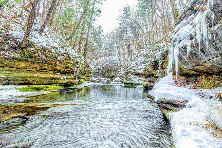 Canyon Stream Photograph by Todd Reese - Fine Art America