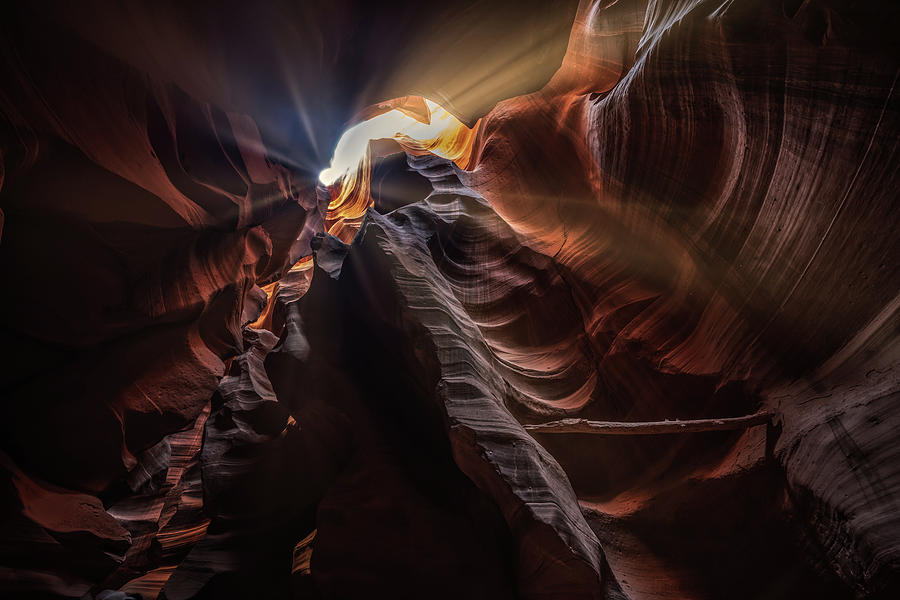 Arizona Photograph - Canyon Sun Flare by Framing Places Arizona Photograph - Canyon Sun Flare by Framing Places