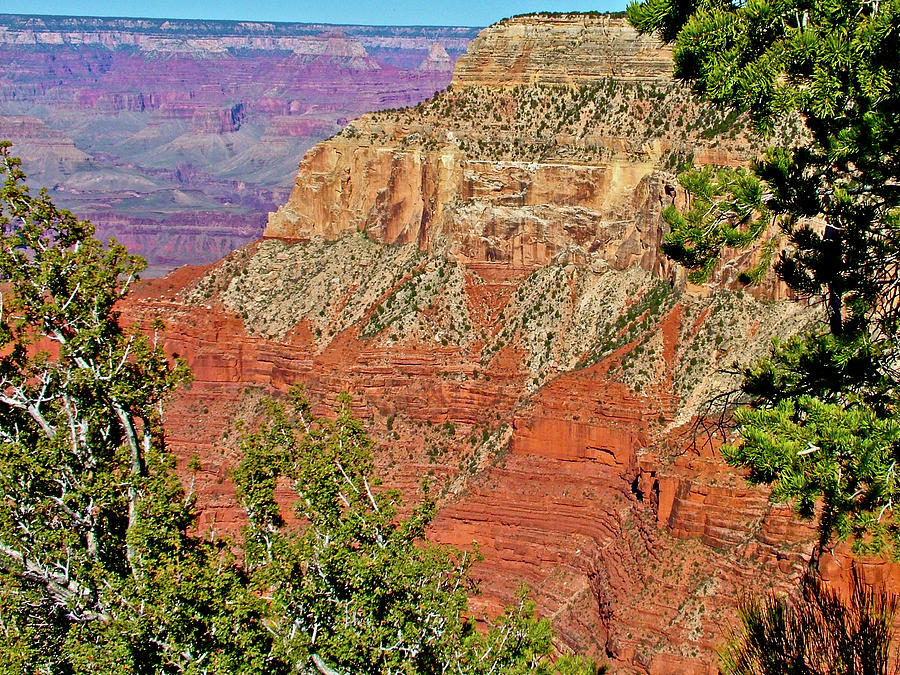 Canyon View between the Abyss and Monument Creek Vista, Grand Canyon National Park, Arizona. Photograph by Ruth Hager
