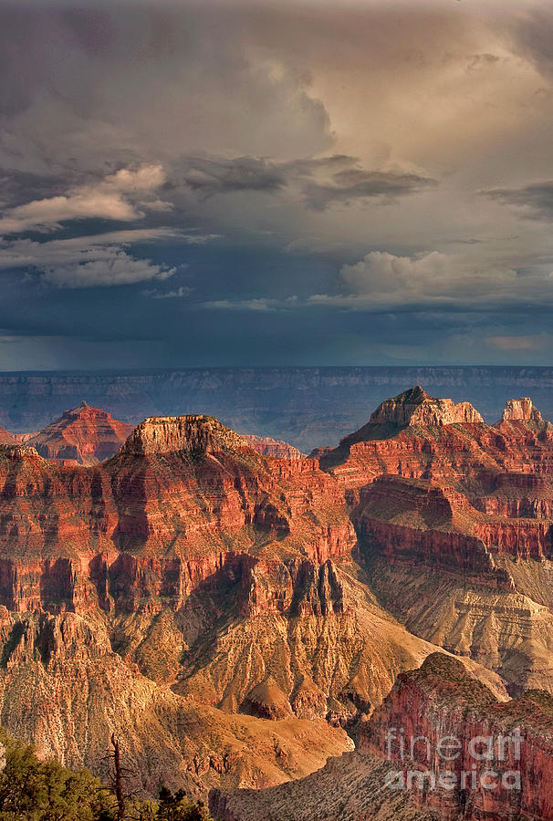 Canyon View North Rim Grand Canyon National Park Arizona Photograph by Dave Welling