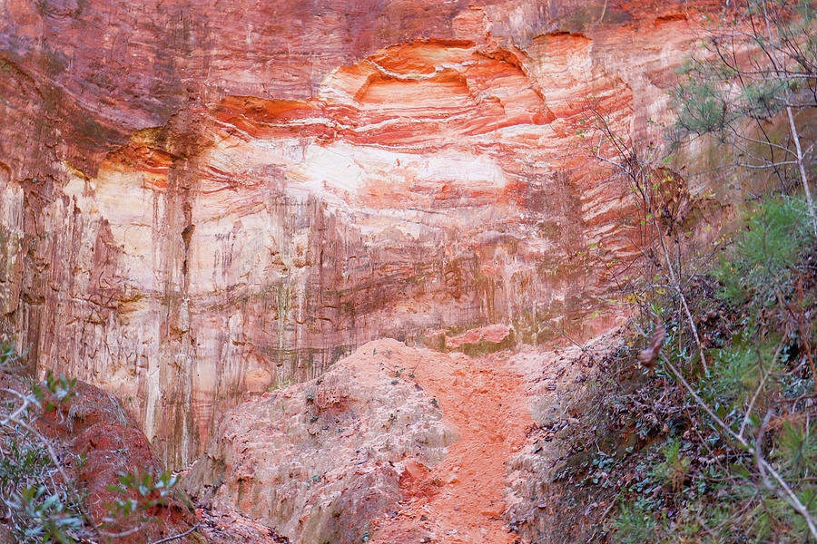 Canyon Wall Composition Photograph by Ed Williams