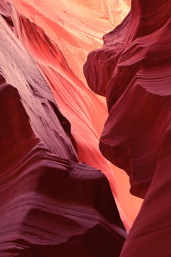 Canyon X Slot Canyon Colors #3 Photograph by Roupen Baker