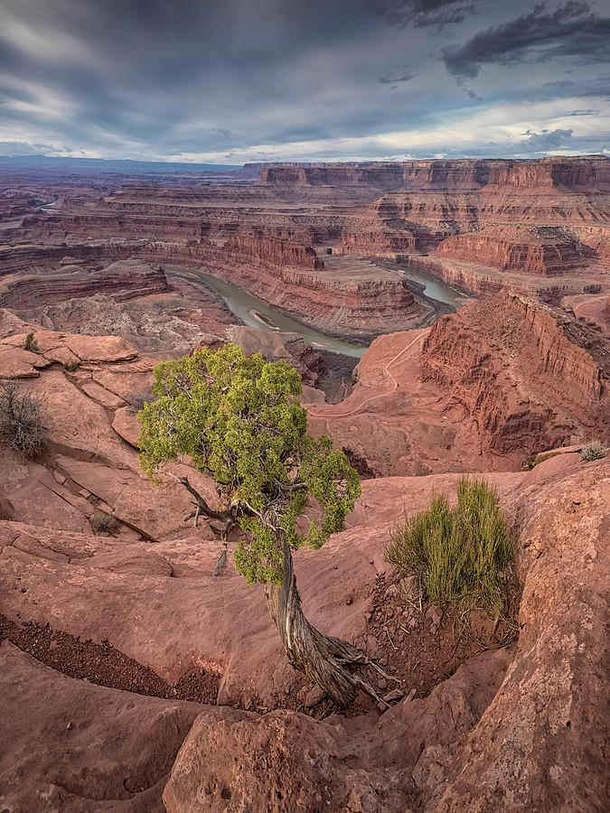 Canyonlands 1 Photograph by Robert Fawcett
