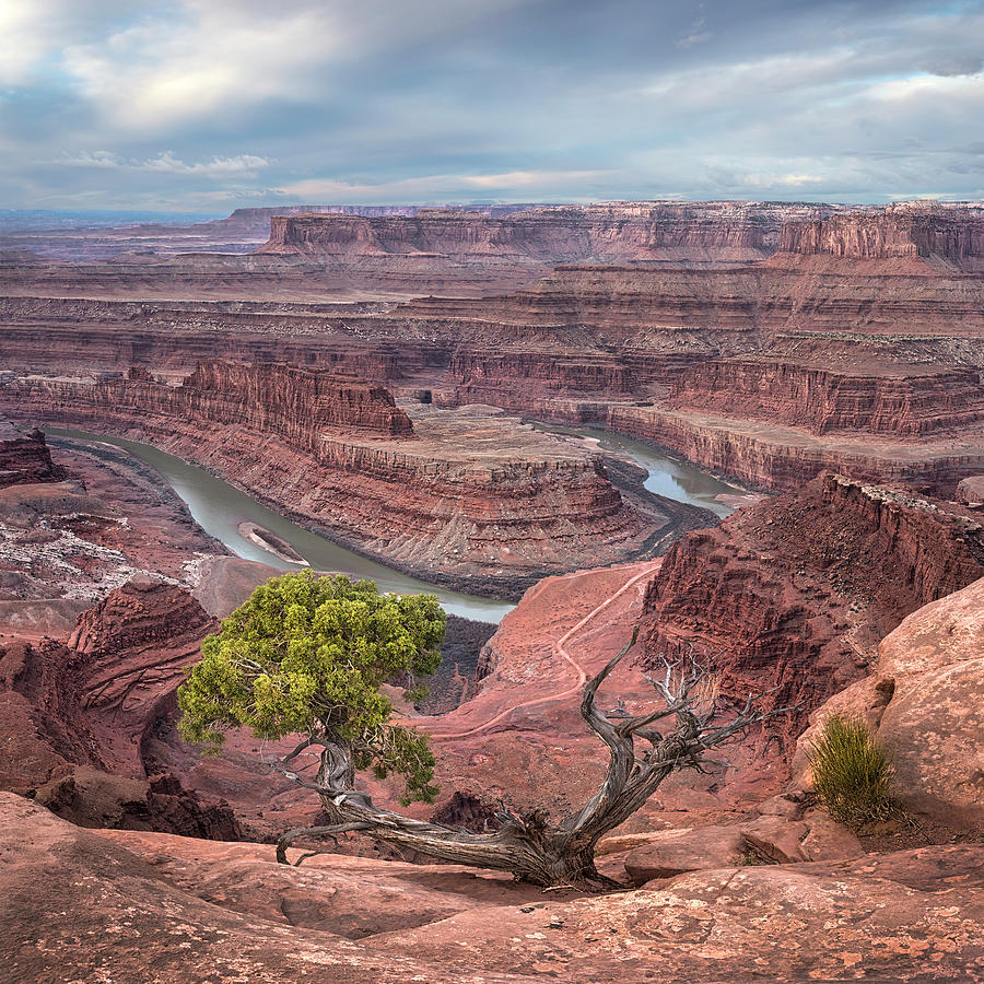 Canyonlands 2 Photograph by Robert Fawcett