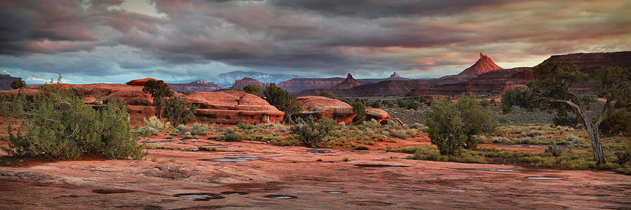 Canyonlands Photograph by Gary Yost