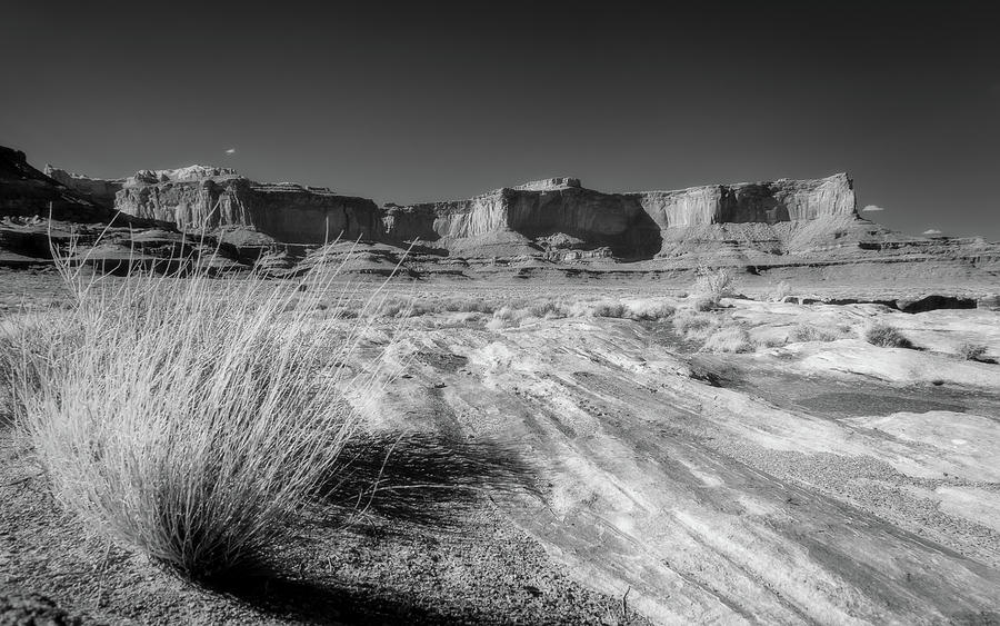 Canyonlands infrared Photograph by Murray Rudd