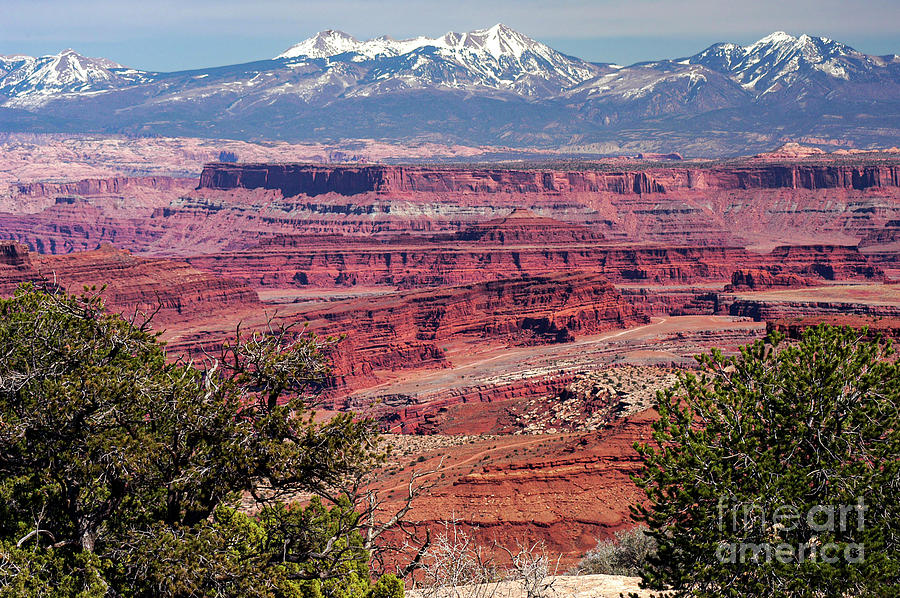 Canyonlands Island in the Sky District One Photograph by Bob Phillips