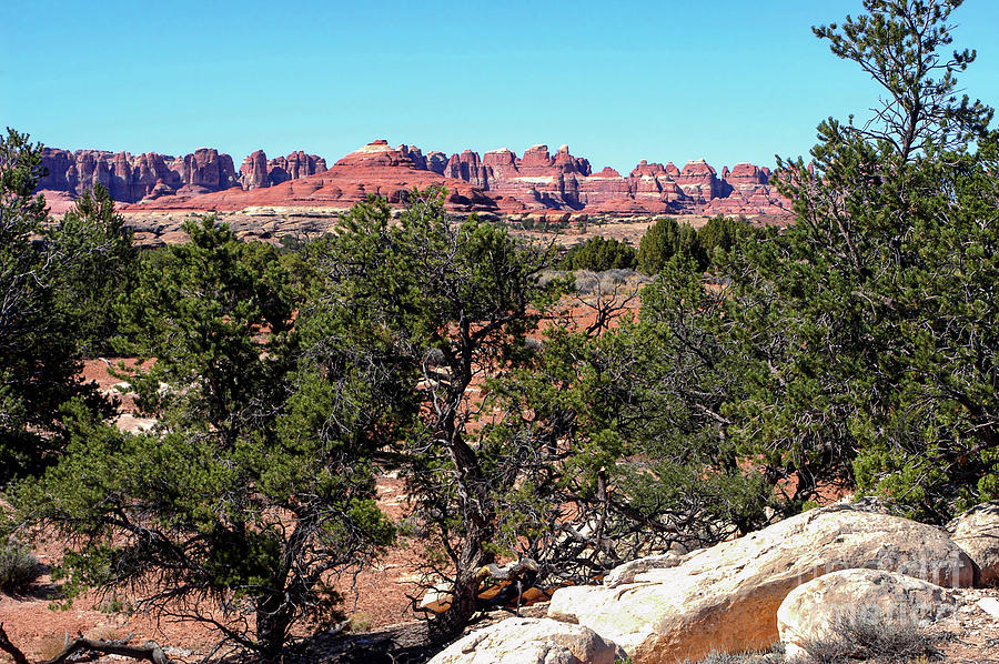 Canyonlands Needles District Photograph by Bob Phillips