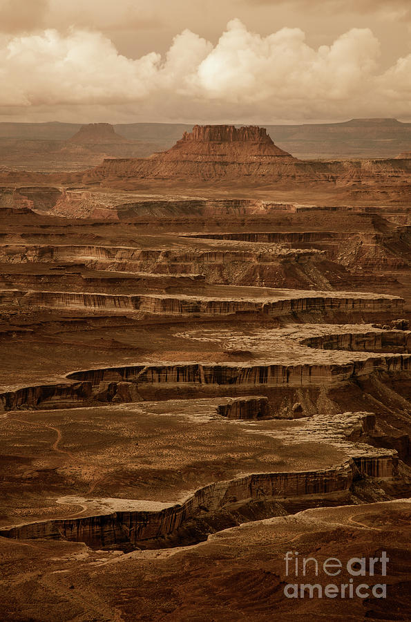 Canyonlands Photograph by Timothy Johnson