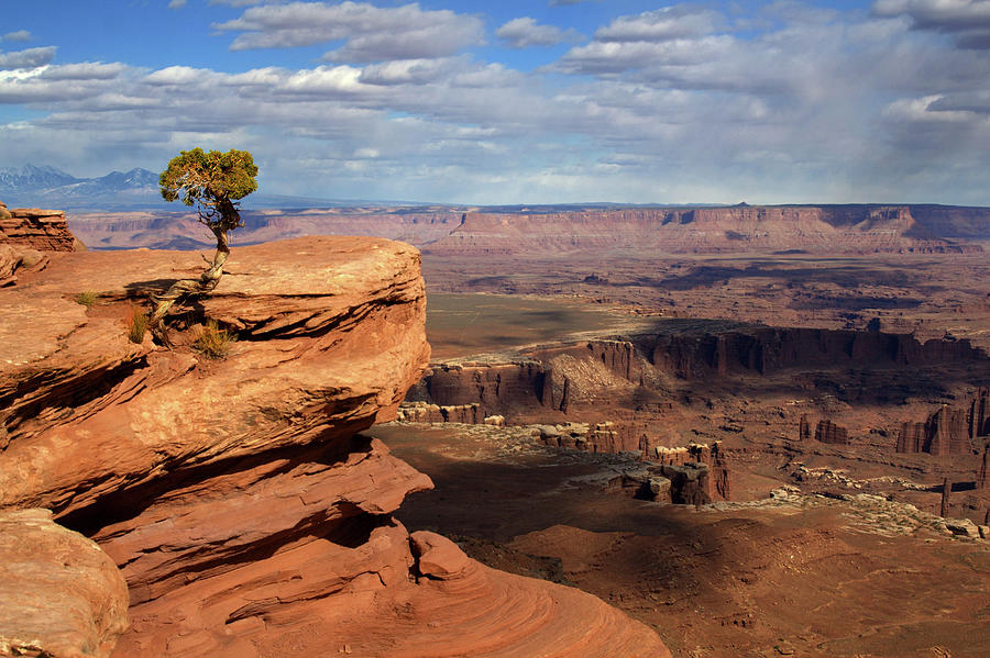 Canyonlands Vista at Grand View Point Overlook  Photograph by Peter Herman