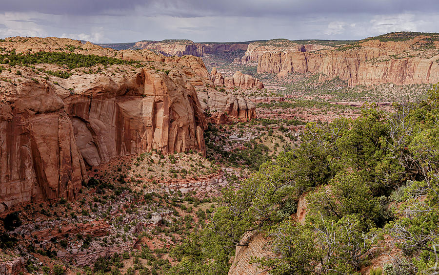 Canyons of Navajo NM Photograph by Kent Nancollas