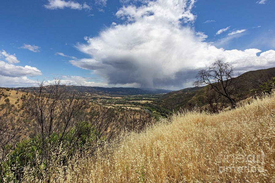 Capay Valley Rainstorm In Natural Light Photograph By Leia Hewitt ...