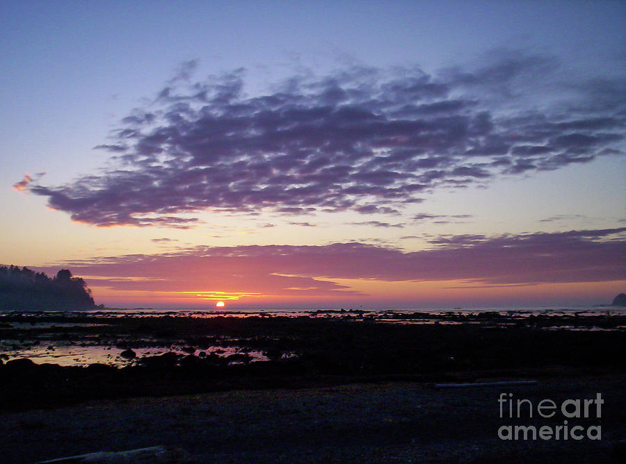 Olympic National Park Photograph - Cape Alava September Sunset by Nancy Gleason