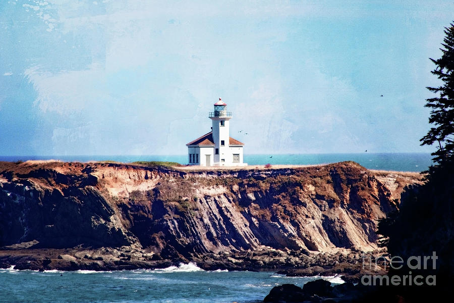 Cape Arago Lighthouse Photograph by Janie Johnson