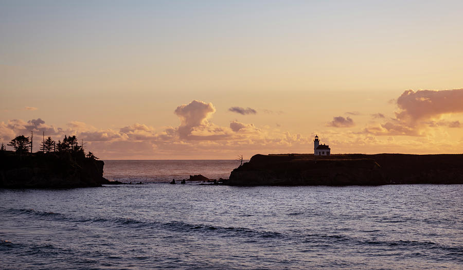 Cape Arago Lighthouse  Photograph by Steven Clark